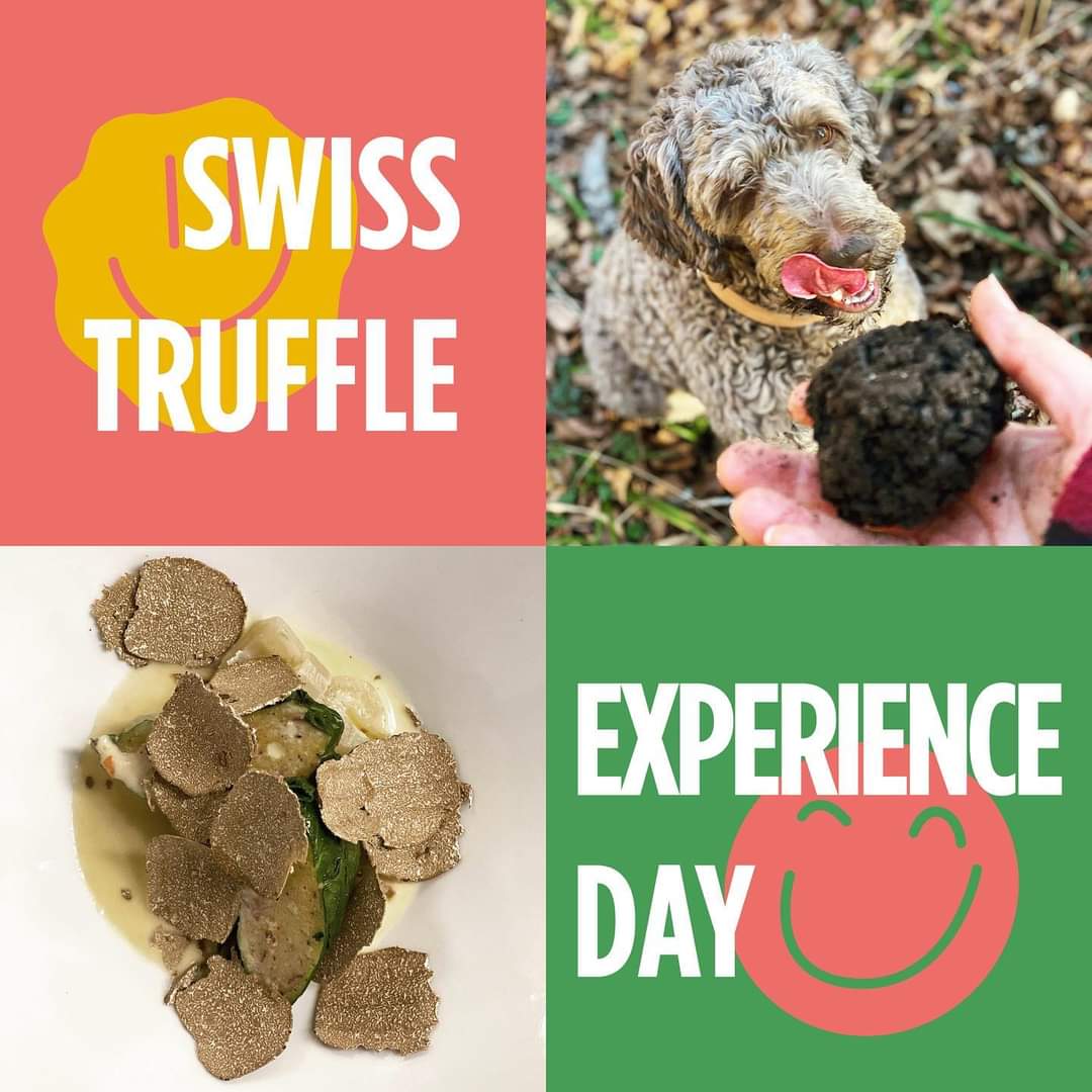 Swiss Truffles Dealers - Expérience